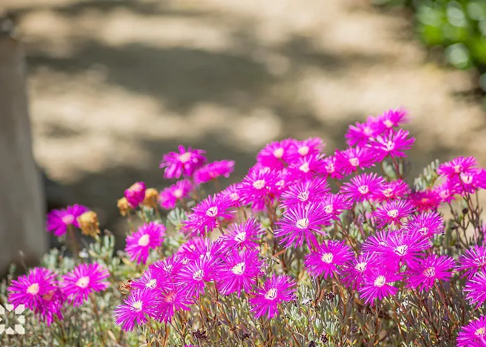 Oasis By Abahana Villa Ifach